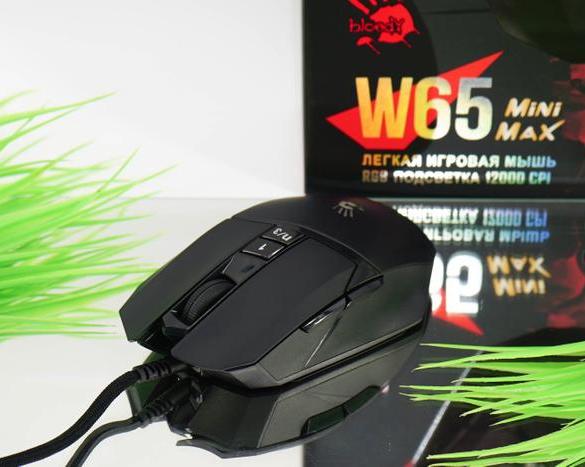 Обзор игровой мыши Bloody W65 Max Mini: легкая модель с подсветкой и 9 настраиваемыми кнопками / Клавиатуры, мыши и периферия / iXBT Live